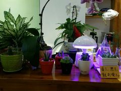 -猫山王创意蛋糕店(东城万达店)