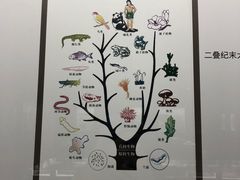 -贝壳王国博物馆