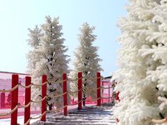 -盈香心动乐园