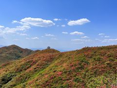 -大围山国家森林公园