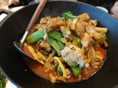 湘西霸王蛙-望湘园·湖南菜(宏伊店)