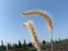-安飞驰驾校·学车连锁(金高店)