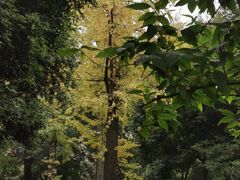 -沙河三洞古桥公园
