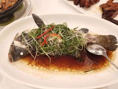 -金鮀岛潮州酒家