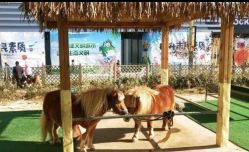 -萌宠亲子动物乐园(槐房万达店)