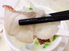 过桥石斑鱼片-有腥气私房菜·寻味顺德