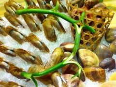 蓝海岸霞浦海鲜-渔傅·蓝海岸霞浦海鲜(正祥店)