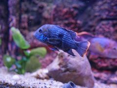 -上海海洋水族馆
