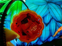 -郑州方特梦幻王国