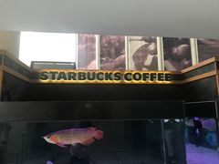 -星巴克(北京西大望路温特莱店)
