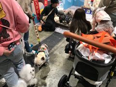 -香港会议展览中心演讲厅