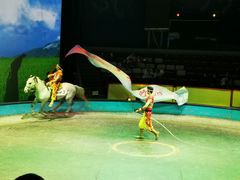 -上海马戏城