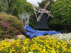 -上海鲜花港