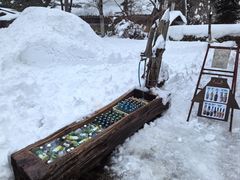 -白川乡与五箇山的合掌构造村落