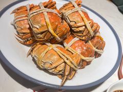 -杨氏青龙虾·羊蝎子(金盛路总店)