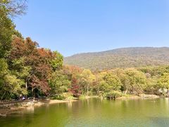 -紫霞湖公园