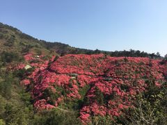 -木兰云雾山