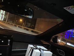 -BLACKSWAN黑天鹅(环球店)