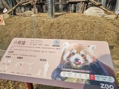 -武汉动物园