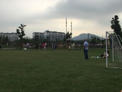 -田园东方蜜桃村的田野营地