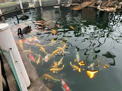 -湖鲜楼