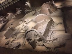 -洛阳周王城天子驾六博物馆