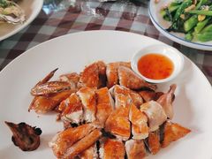 -陶缘一号·四季缘·老字号顺德菜·户外婚礼家宴(西滘店)