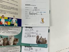 -瑞派动物医院·猫专科·至诚(江南中分院)