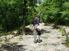 -阳台山自然风景区