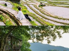 -杨家堂村
