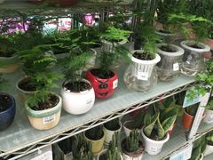 -大润发(张江店)