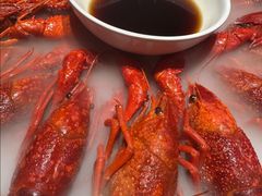 -红盔甲·小龙虾(人民广场店)