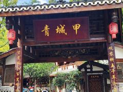 -青城甲(青城山店)