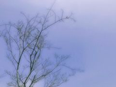 -仰口沙滩
