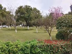 -重庆园博园