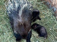 -水上乐园·欢乐世界