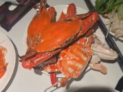 -加餐海鲜自助(宝龙一城店)