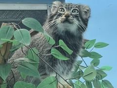 -青藏高原野生动物园