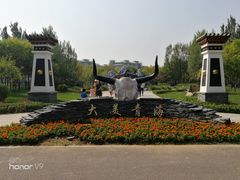 -武清南湖绿博园