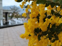 -牛岗山公园