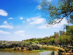 -丁香湖公园