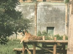 -泉州海丝野生动物世界