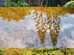 -云溪植物园