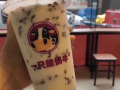 -一只酸奶牛(八一路店)