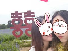 -北京东方普罗旺斯薰衣草庄园