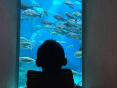 -西海国立公园九十九岛水族馆