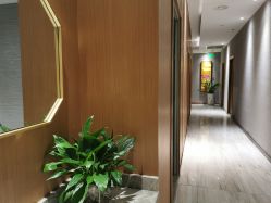 -苑苑vbeauty科技美容SPA