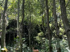 -天河潭旅游度假区
