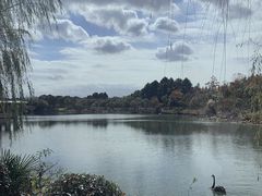 -上海怡沁园度假酒店