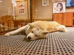 -大江户·温泉洗浴(浑南店)